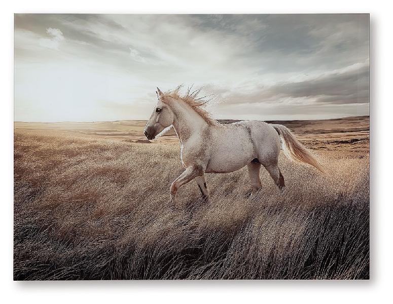 Image of Errolville - Wall Art - Multi