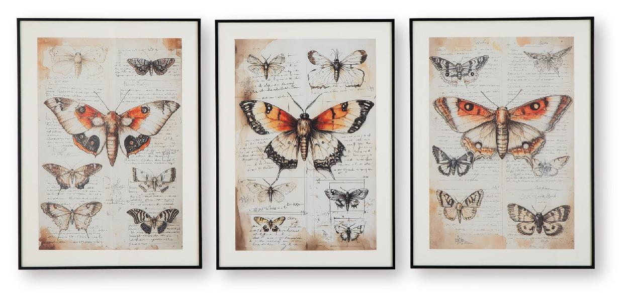 Image of Jossletts - Wall Art Set (Set of 3) - Orange / Black / Ivory