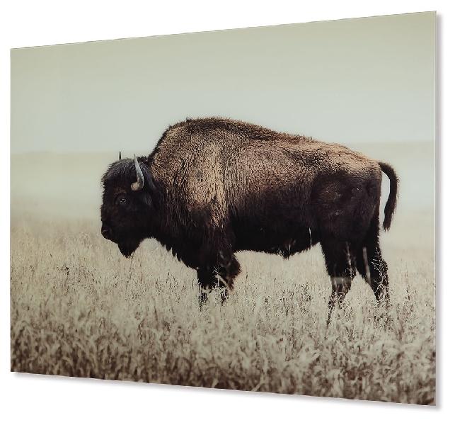 Image of Brutus - Wall Art - Sepia